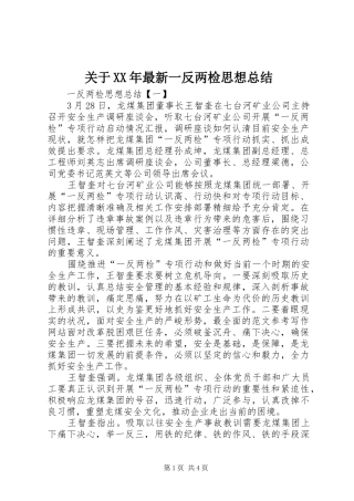 关于XX年最新一反两检思想总结