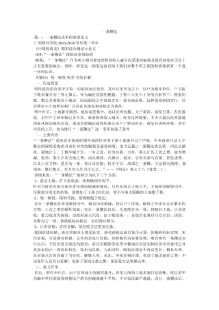 一条鞭法精选 