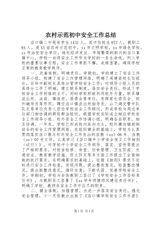 农村示范初中安全工作总结