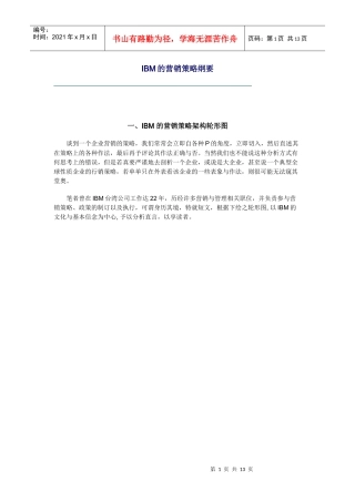 IBM营销策略提纲