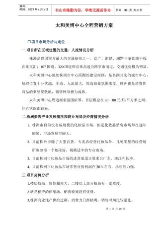 太和美博中心全程营销方案
