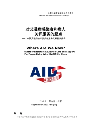 中国艾滋病治疗及关怀服务文献检索报告