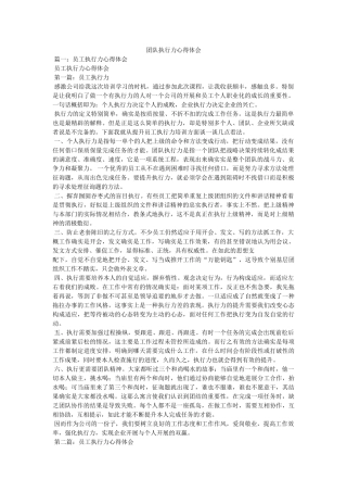 团队执行力心得体会 