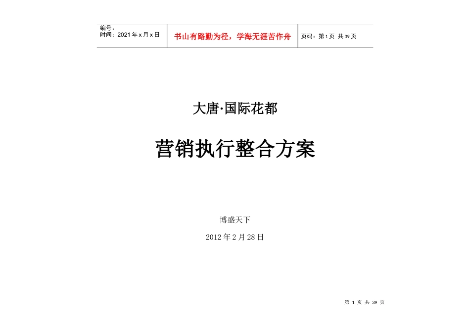 国际花都营销执行整合方案_第1页
