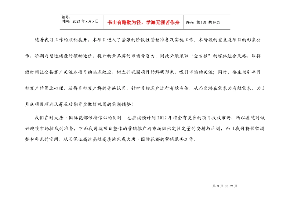 国际花都营销执行整合方案_第3页