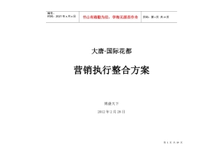 国际花都营销执行整合方案