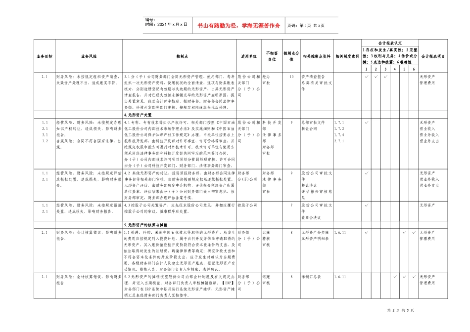 7.6无形资产管理业务控制矩阵_第2页