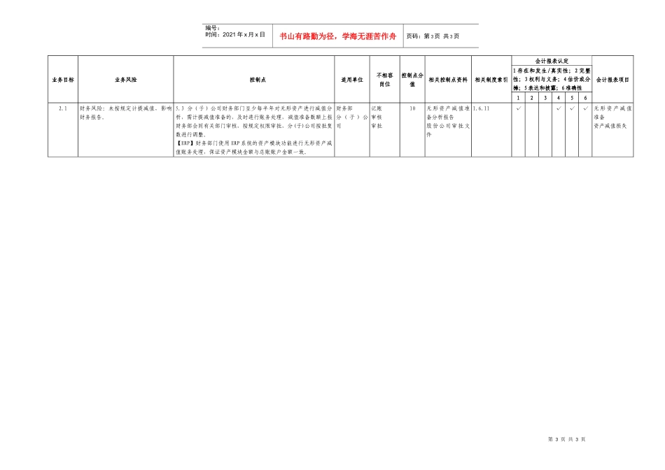 7.6无形资产管理业务控制矩阵_第3页