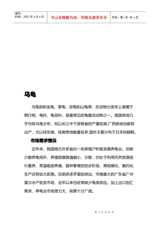 乌龟养殖技术与市场需求情况