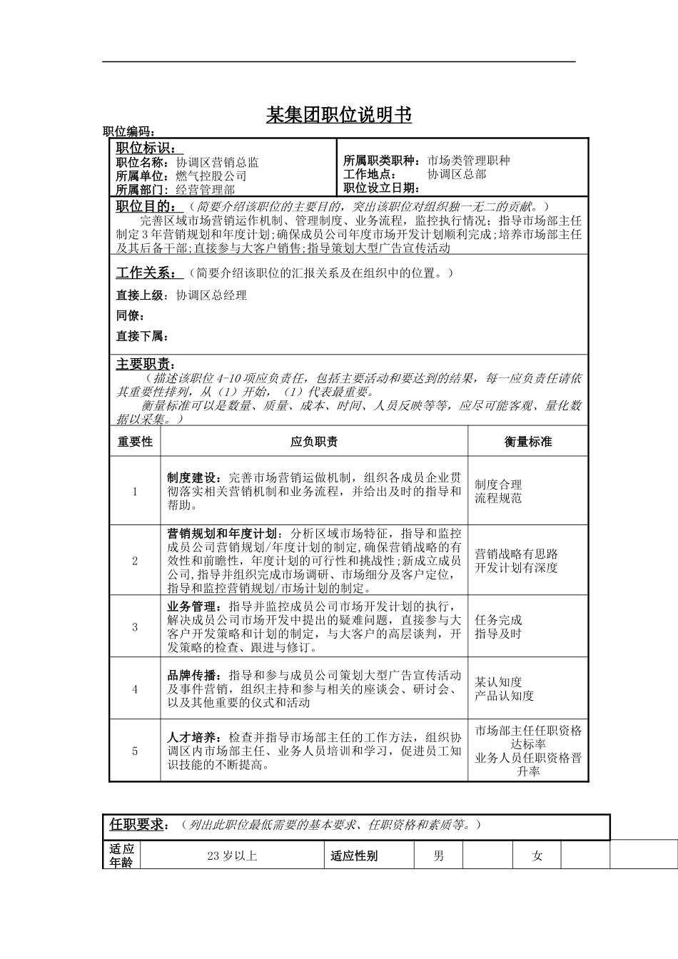 大区营销总监岗位说明书_第1页