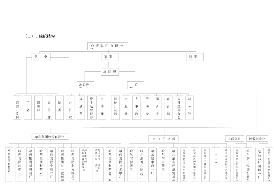 哈药集团的营销策略报告_第2页