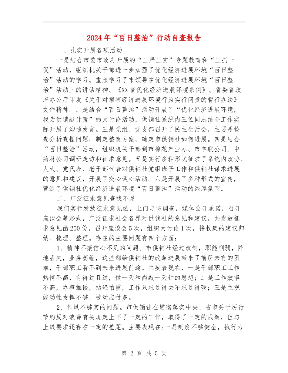 2024年“百日整治”行动自查报告_第2页