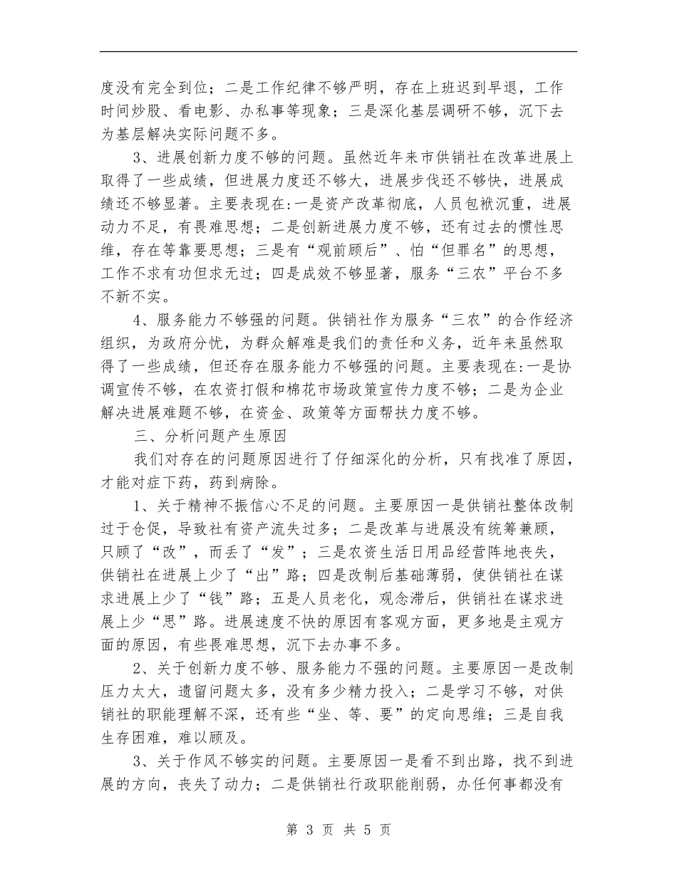2024年“百日整治”行动自查报告_第3页