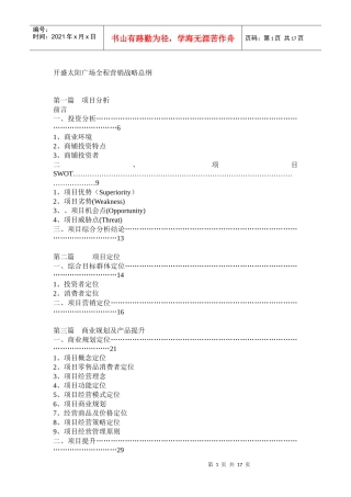 开盛太阳广场全程营销战略总纲