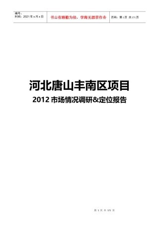 市场情况调研定位报告