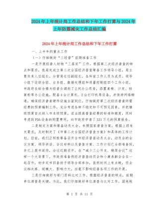 2024年上年统计局工作总结和下年工作打算与2024年上年防震减灾工作总结汇编
