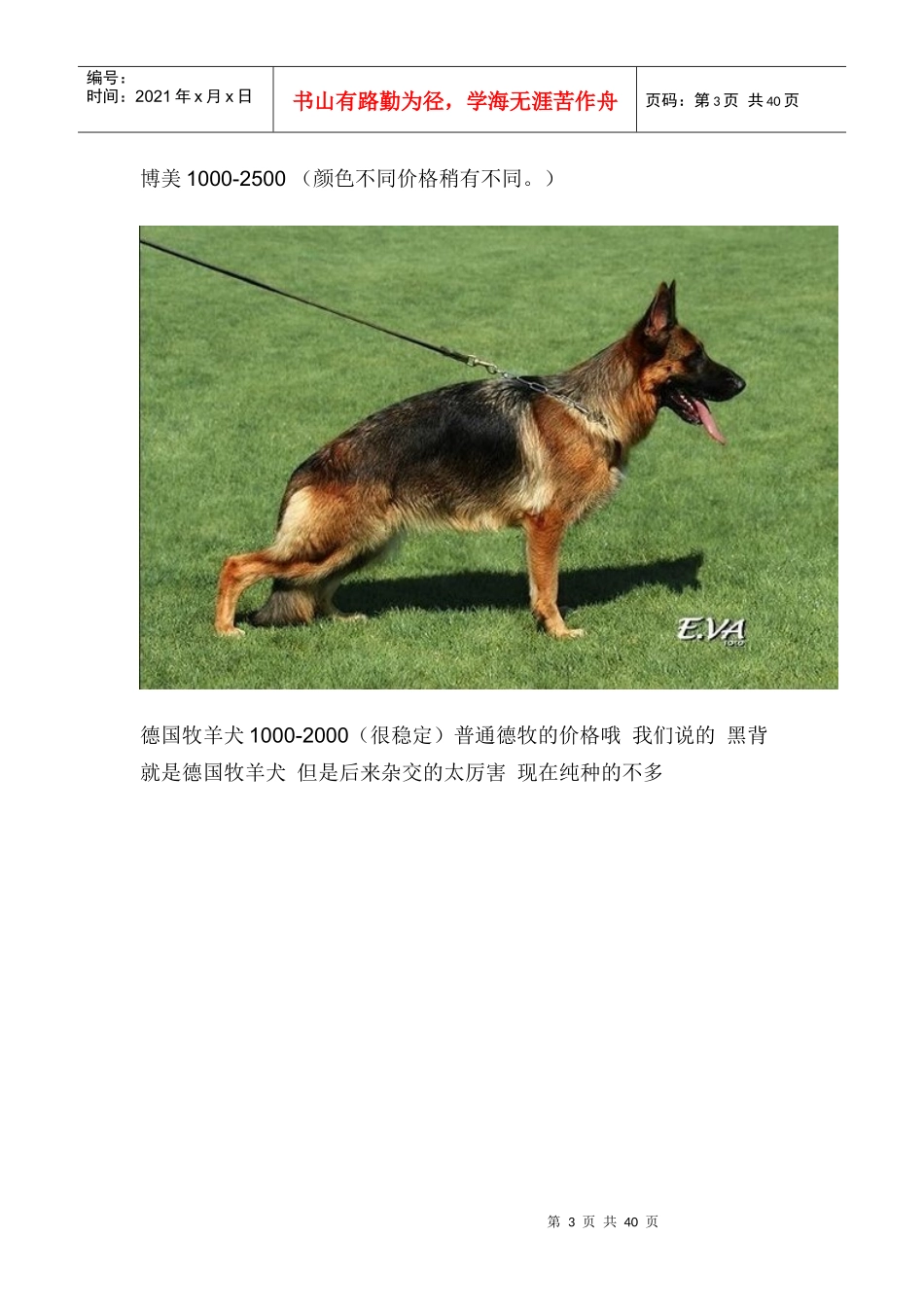 各种狗狗市场价格_第3页