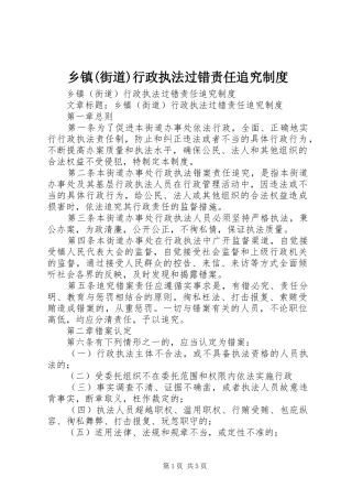 乡镇(街道)行政执法过错责任追究规章制度细则