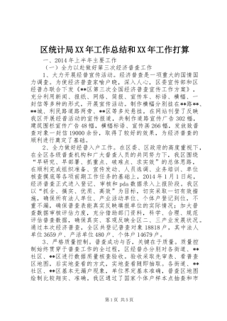 区统计局XX年工作总结和XX年工作打算