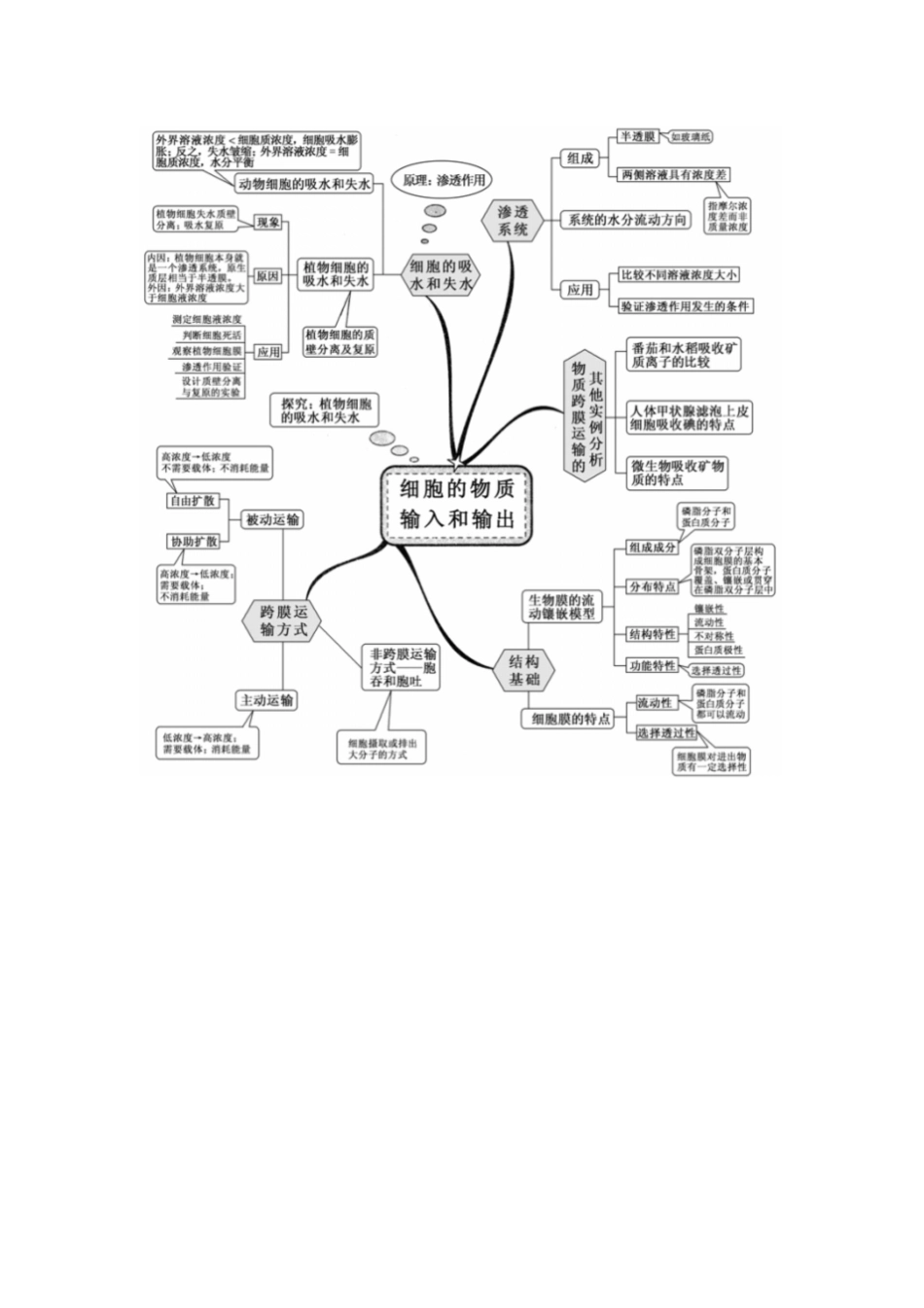 新课标高中生物全套思维导图 _第3页