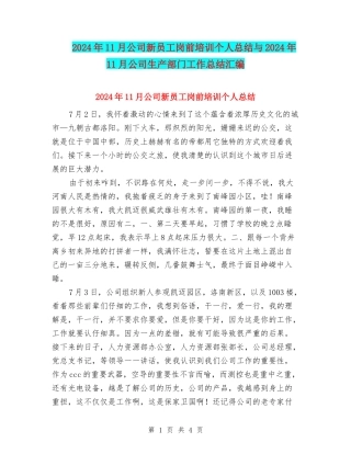 2024年11月公司新员工岗前培训个人总结与2024年11月公司生产部门工作总结汇编