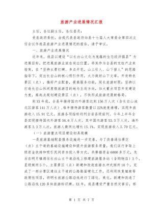 旅游产业发展情况汇报