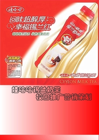 娃哈哈锡兰奶茶校园推广营销策划(终)
