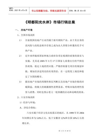 XX水岸市场销售总案