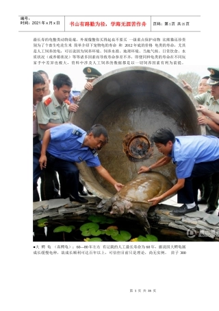 宠物龟寿命及价格培训资料
