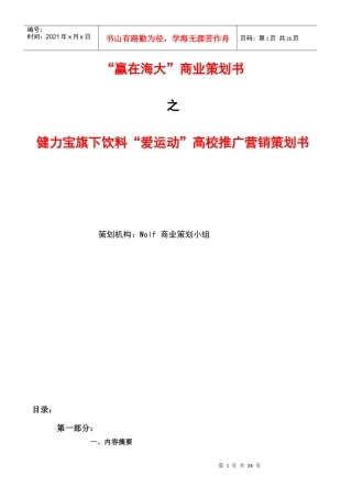 Wolf队营销策划书