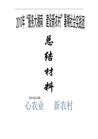 “服务大湘南建设新农村”暑期“三下乡”总结材料