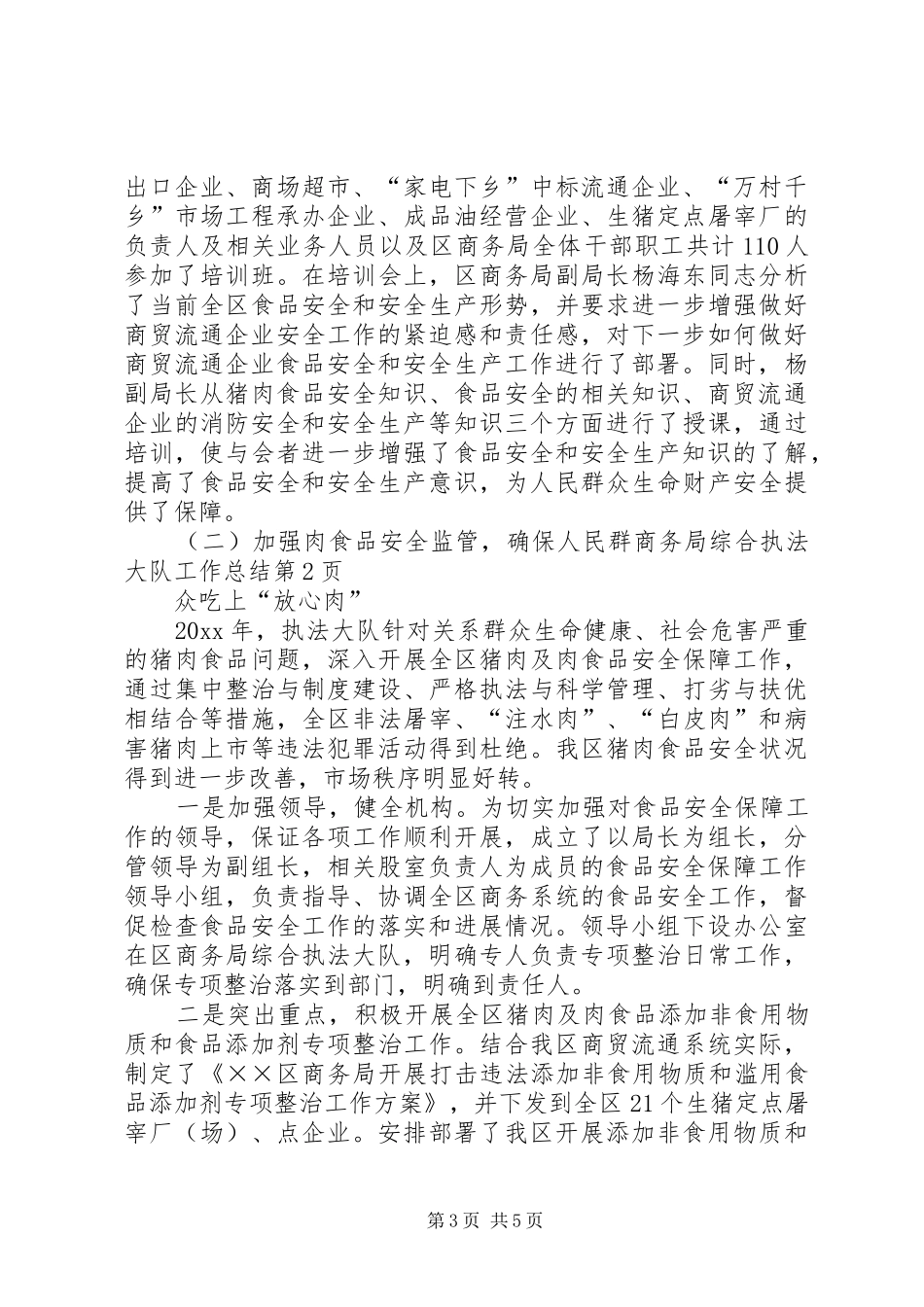 商务局综合执法大队工作总结_第3页