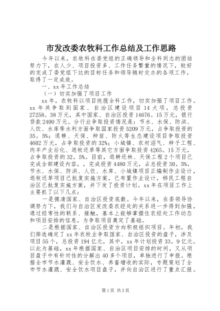 市发改委农牧科工作总结及工作思路