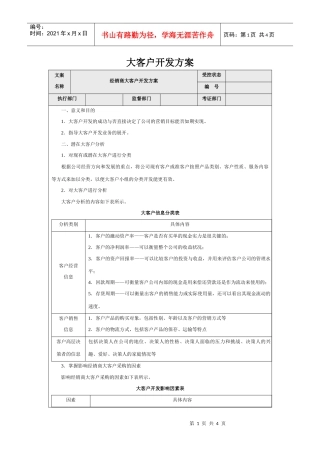 大客户开发方案