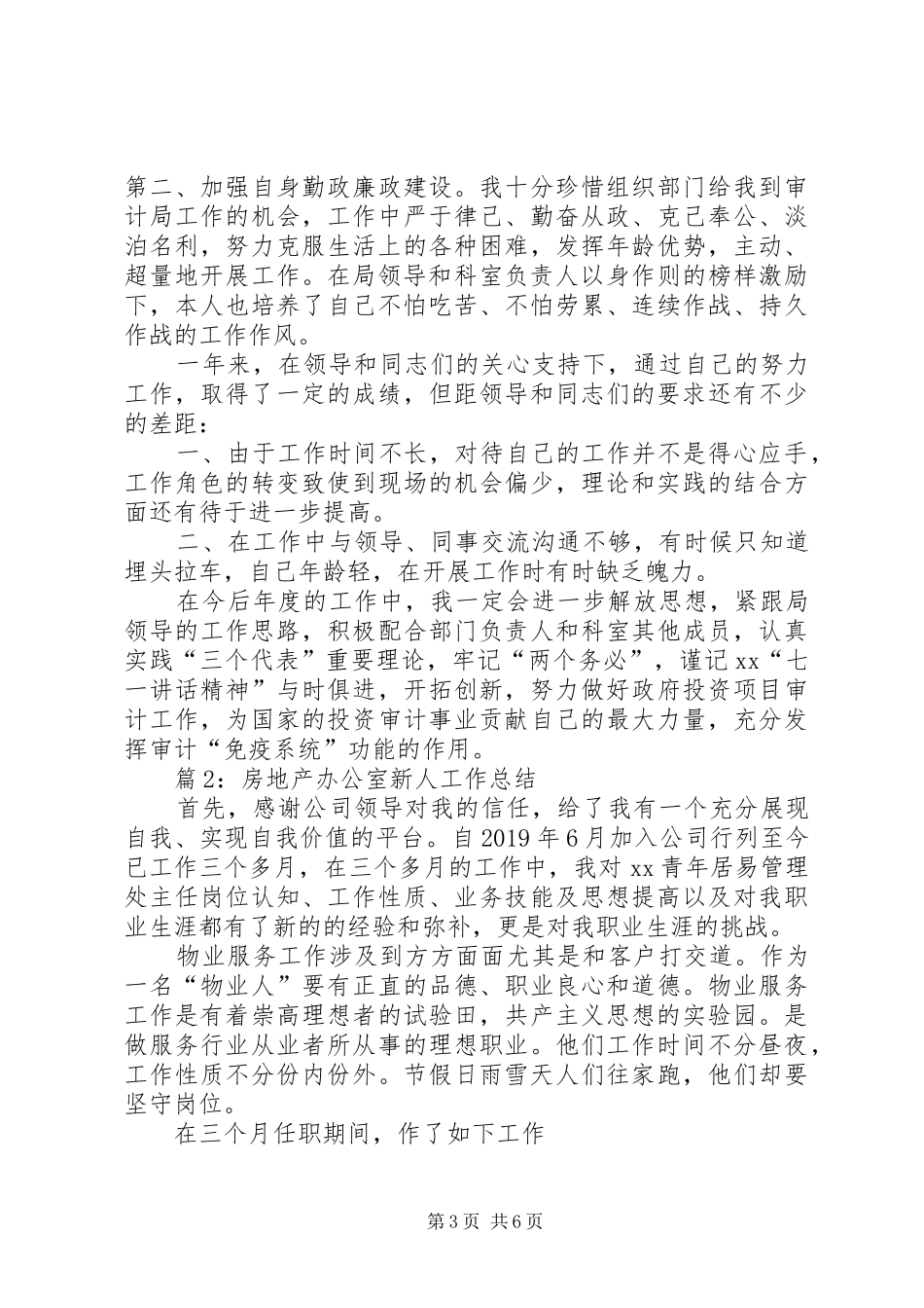 审计办公室新人工作总结_第3页