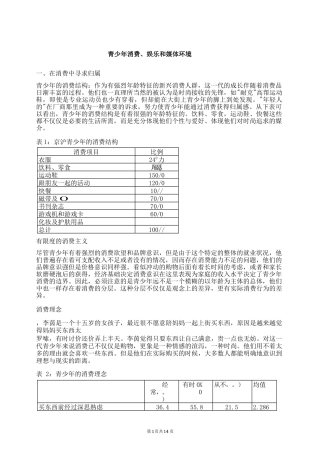 市场营销书籍集萃0266-青少年消费娱乐和媒体环境