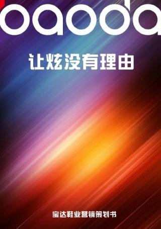 宝达鞋业营销策划书