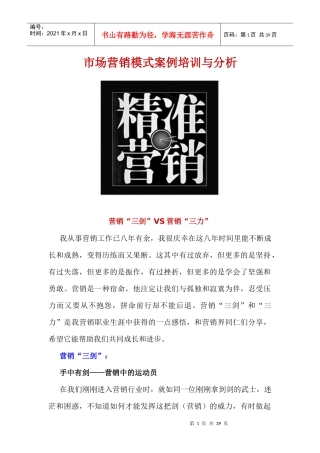 市场营销模式案例专题知识分析