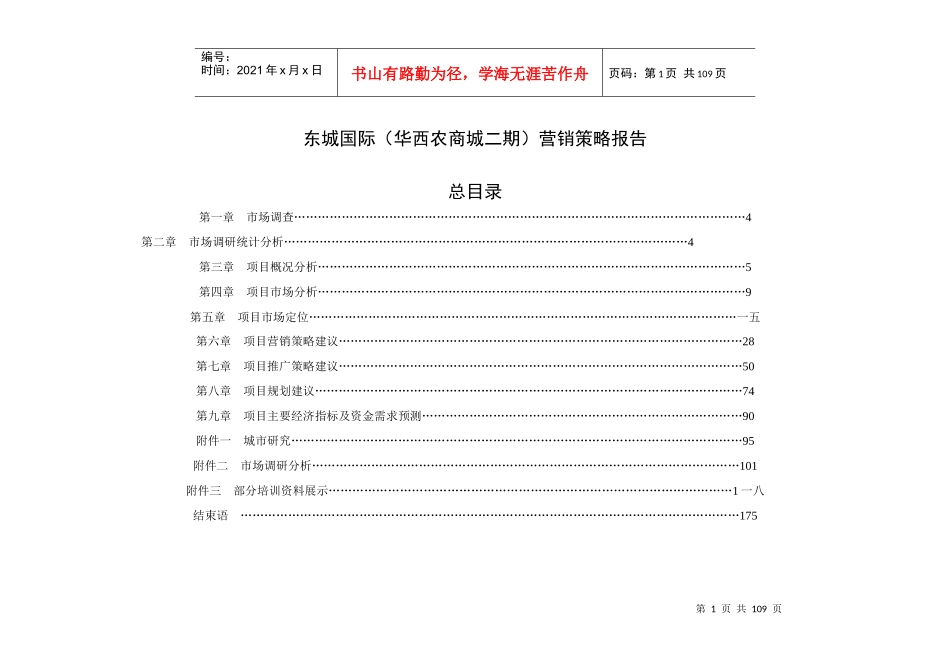 东城国际营销策略报告_第1页