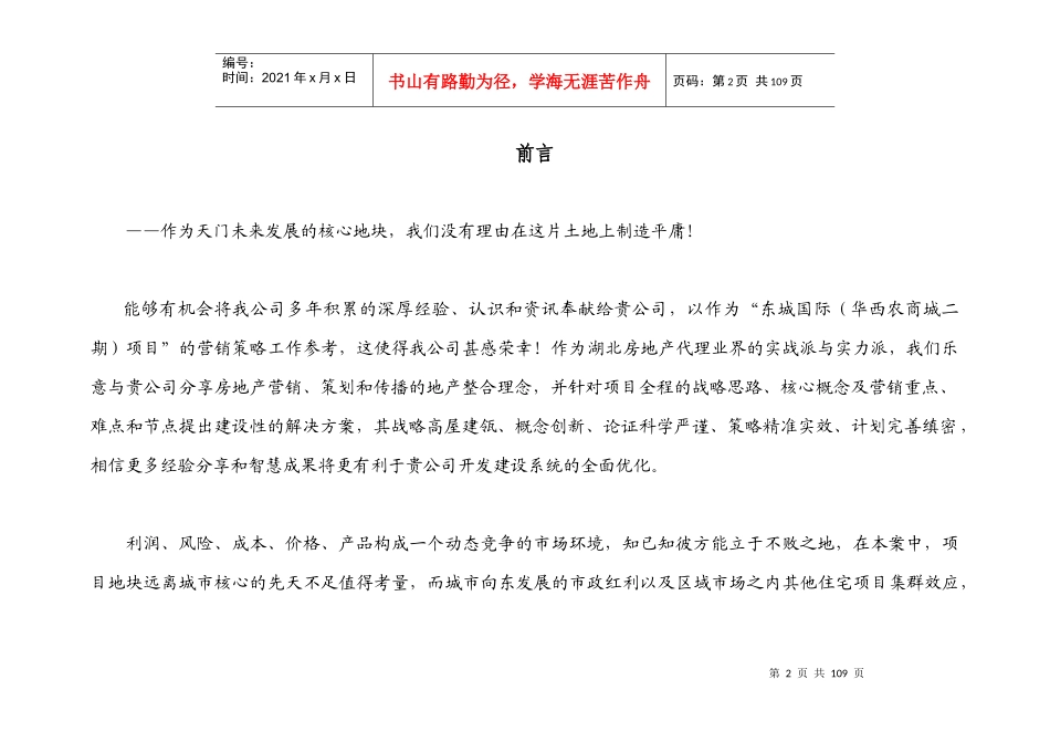 东城国际营销策略报告_第2页