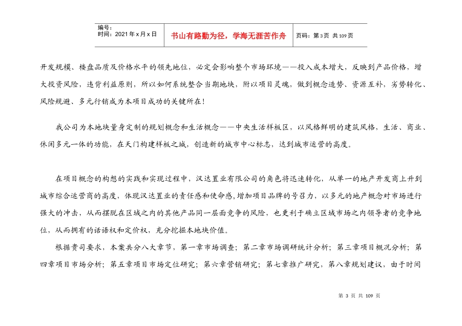 东城国际营销策略报告_第3页