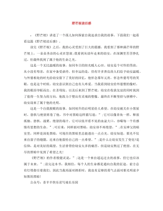 野芒坡读后感 