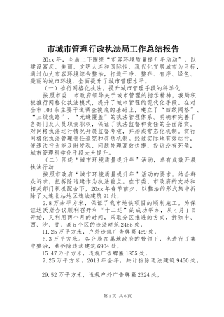 市城市管理行政执法局工作总结报告