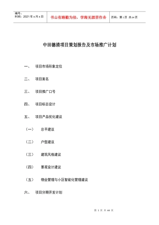中田德清项目策划报告与市场推广计划