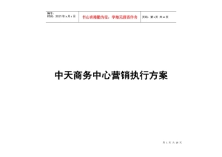 中天商务中心营销执行方案(DOC13)