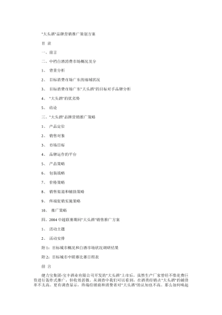 大头酒品牌营销推广策划方案