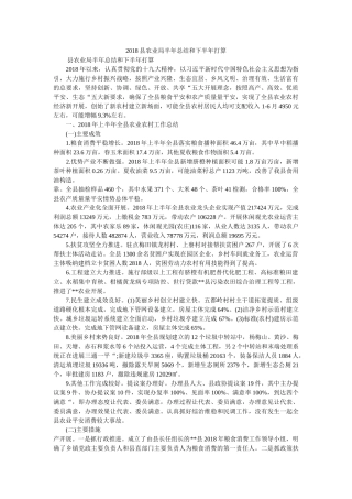 县农业局半年总结和下半年计划精选 
