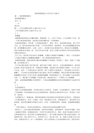我的暑假我做主小学生作文500字 