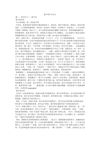 我不再什么作文 