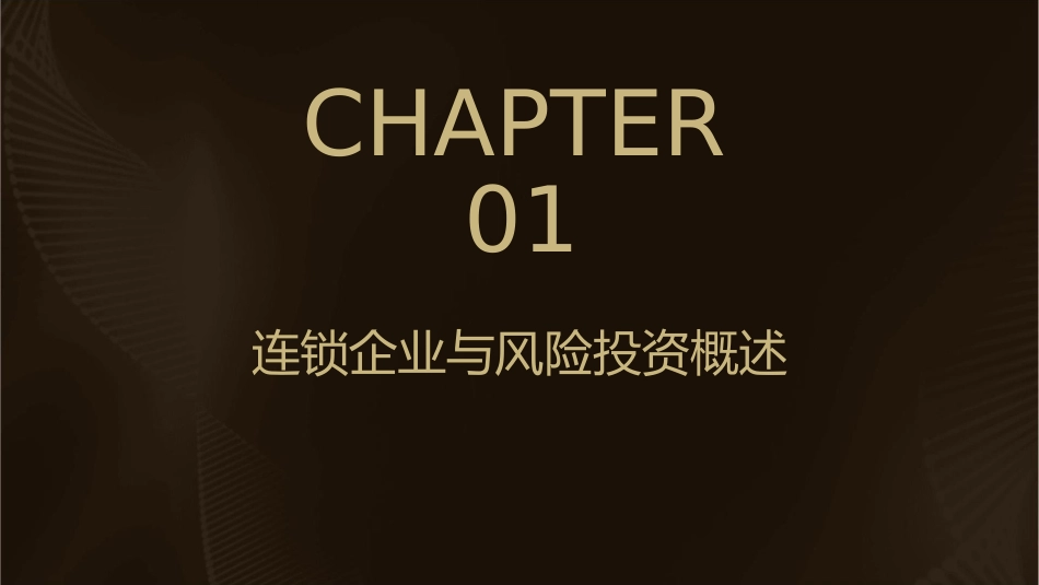 连锁企业引入风险投资课件_第3页